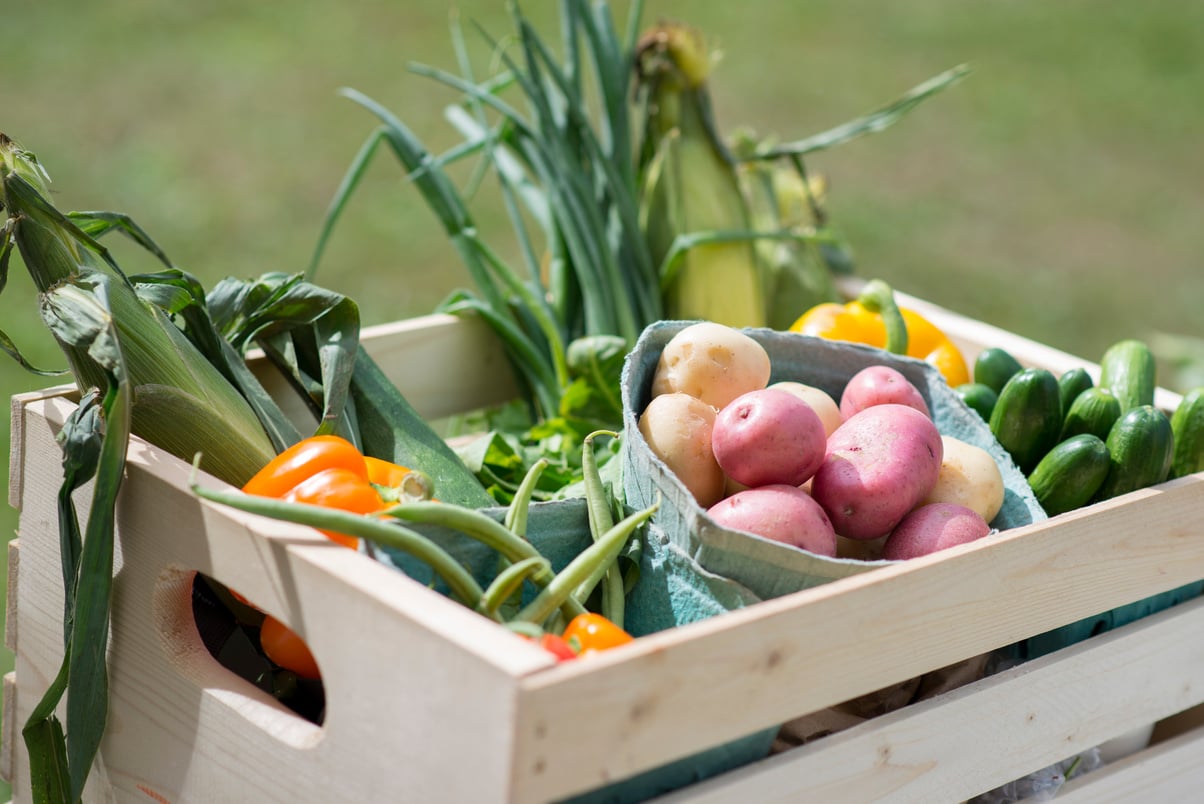 Basket of Fresh Food